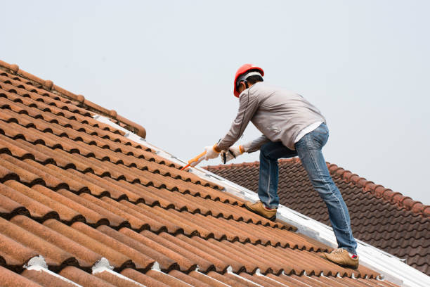 Best Roof Moss and Algae Removal  in Villa Ridge, MO